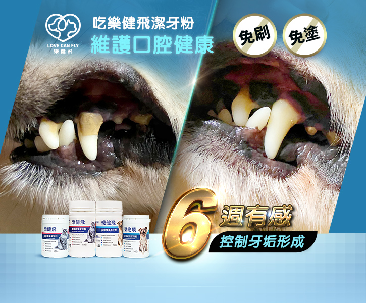 5月-潔牙粉-行動版Banner.jpg