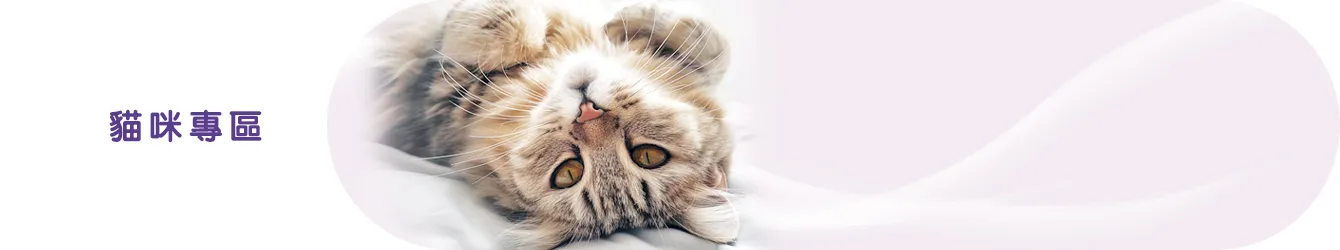貓單元Banner-1340X250-2.jpg